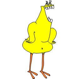 Birdie nam nam